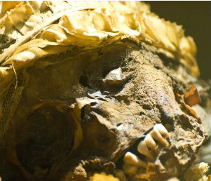 Пришелец или древняя мумия?