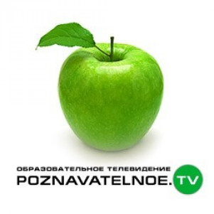 Геополитика монгольской Руси