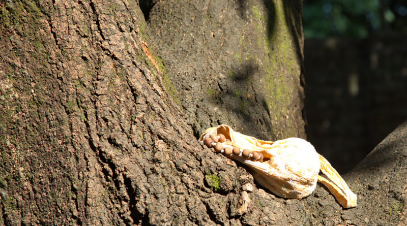 Точка входа в другую реальность или лекарство для печени?