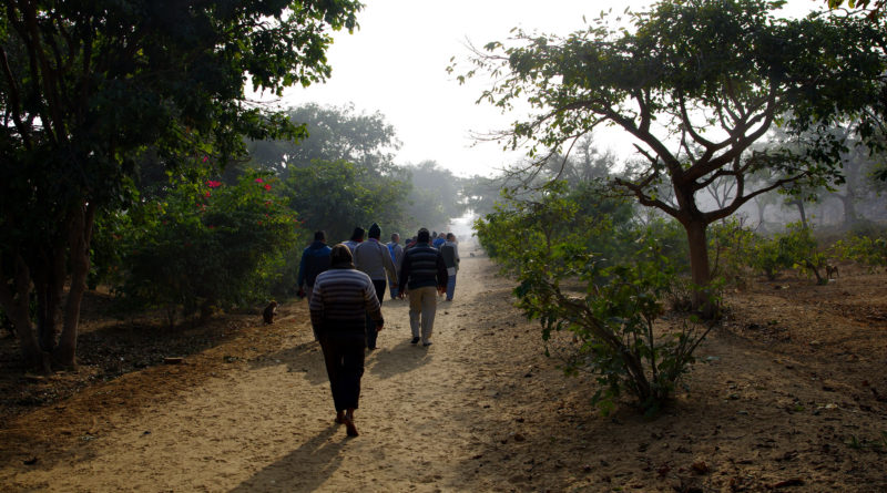 К большой цели ведёт много путей!