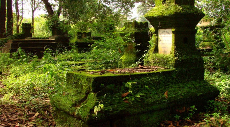 Пал, сраженный толпою врачей…