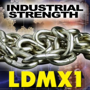 LDMX06: