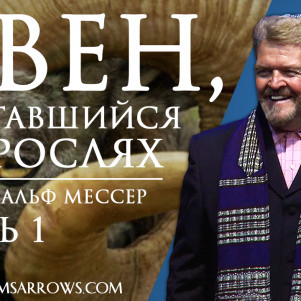 СТБМ | Овен, запутавшийся в зарослях. Часть 1 | Раввин Ральф Мессер | Симхат Тора Бейт Мидраш