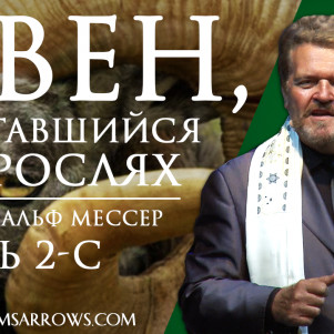 СТБМ | Овен, запутавшийся в зарослях. Часть 2-С | Раввин Ральф Мессер | Симхат Тора Бейт Мидраш