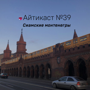 №39 — Сиамские монтенегры