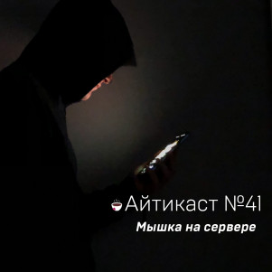 №41 — Мышка на сервере