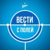 «Зенит»: вести с полей // 3 июня 2020 года