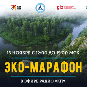 Проблемы переработки не в переработке