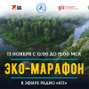 Проблемы переработки не в переработке