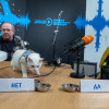 Кот Ахилл: пандемия не закончится в этом году