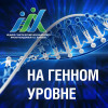 Выпуск 2. Редактирование генома - что это?