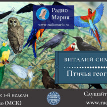 Виталий Симуткин "Птичья география"