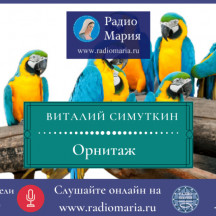 Виталий Симуткин "Орнитаж"