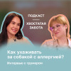 Как ухаживать за собакой с аллергией?