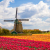 Нидерланды. Дружелюбная и уютная страна