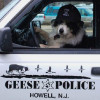 Битва с гусями, или история успеха Geese Police
