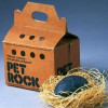 Домашние питомцы для ленивых, или история успеха Pet Rock