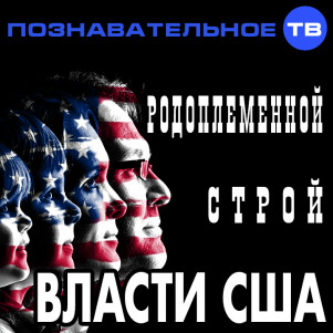 Строй власти