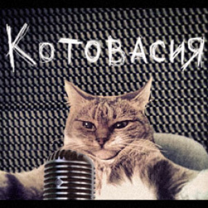 Продолжай подкаст кот. Кот Вася и Котовасия. Подкаст котик. Василий котов Казань. Подкаст с котом на обложке.