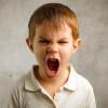 Что делать когда ребенок проявляет агрессию