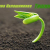 Екатерина Калашникова - Тишина (рассказ: научная фантастика, городская фэнтези, мистика)